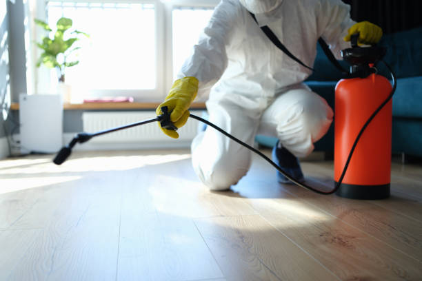 Reliable Odor Removal contractor in Milton, GA by Trauma Clean Pros